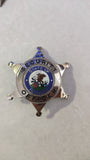 Illinois security officer metal badge cosplay badge - Badgecollection