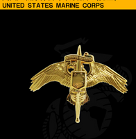 USMC badge skill badge metal badge USMC parachute/spiritus invictus/ - Badgecollection