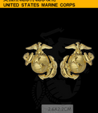 USMC badge skill badge metal badge USMC parachute/spiritus invictus/ - Badgecollection