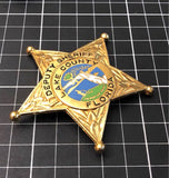 DEPUTY SHERIFF  LAKE COUNTY  florida Collectible Badges - Badgecollection