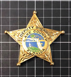 DEPUTY SHERIFF  LAKE COUNTY  florida Collectible Badges - Badgecollection